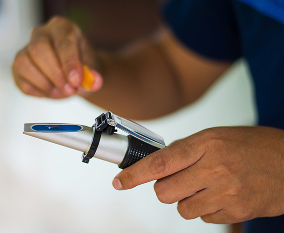 游艇会·yth206(中国)最新官网